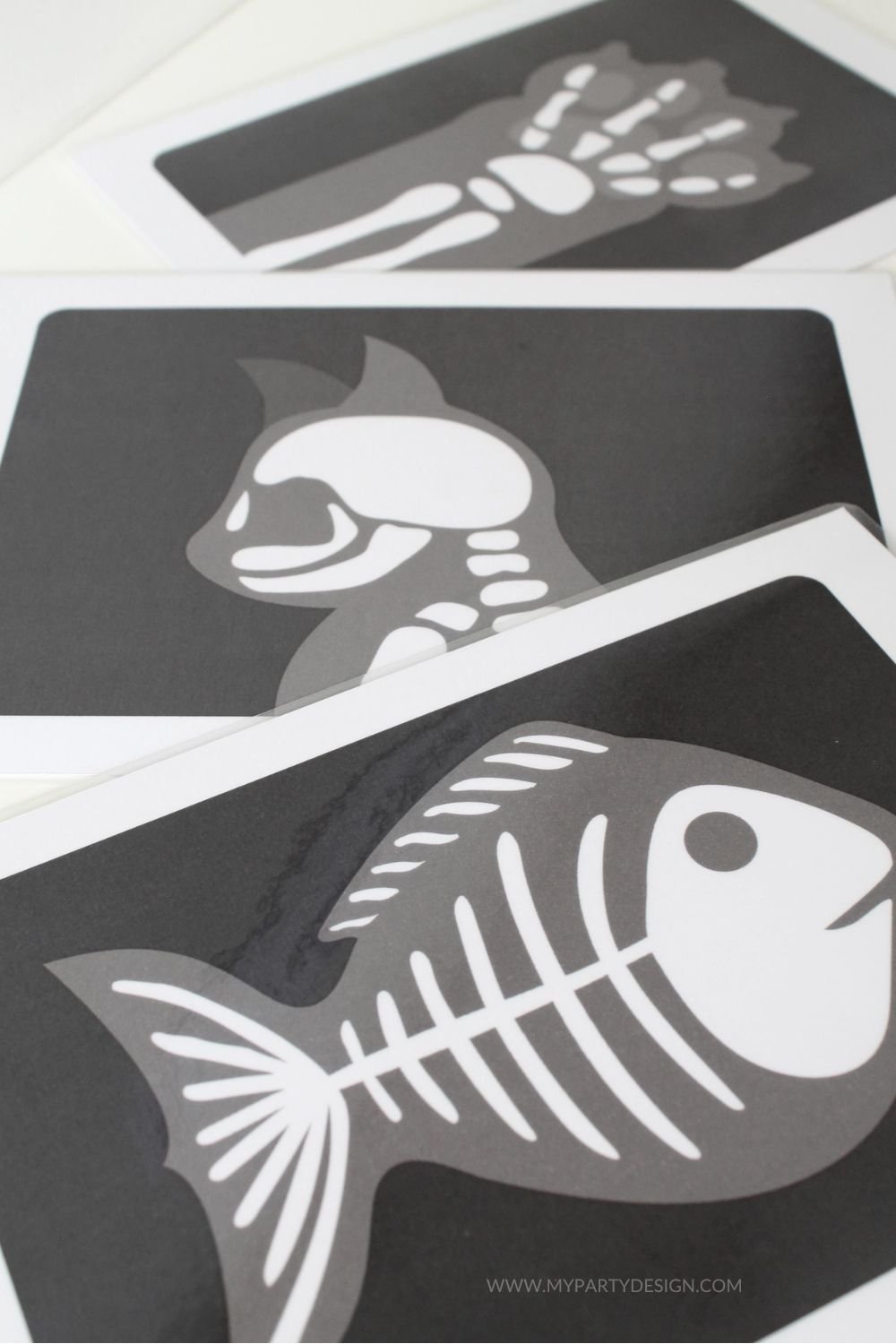animal x-rays for vet dramatic play scene