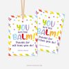 colourful gift tags for appreciation gift tags that read "You are the balm! Thanks for all that you do!"