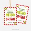 CHRISTMAS-GIFT-TAGS-MERRY-AND-BRIGHT-HOLIDAYS-00B christmas class gift tags that read "may your holidays be merry and bright"