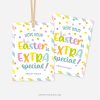 EASTER-GIFT-TAGS-EXTRA-SPECIAL-00B easter gift tags for class gifts that read "hope your easter is extra special"