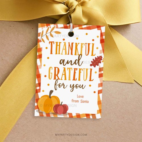 thankful and grateful for you gift tag in orange and brow colors featuring fall leaves and pumpkin illustrations for thanksgiving appreciation gifts