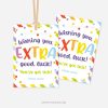 bubble gum good luck gift tag that reads "wishing you extra good luck, you've got this"