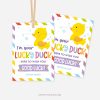 colorful lucky ducky gift tags that read "I'm your lucky duck, here to wish you good luck!"