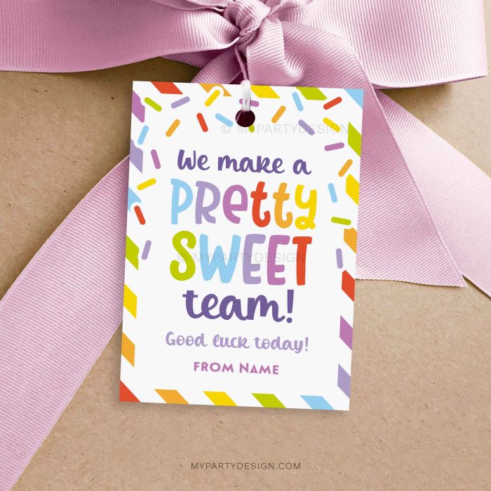 pretty sweet team gift tag for cheer, dance or sports good luck gifts