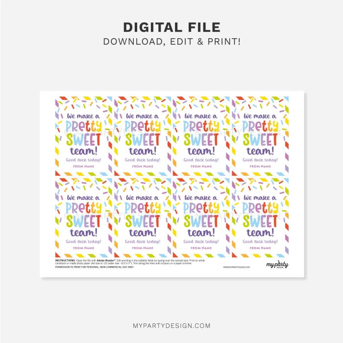 printable pretty sweet team gift tag for cheer, dance or sports good luck gifts