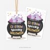 HALLOWEEN-GIFT-TAGS-EXTRAW-SPOOKY-00B halloween straw tags that read "Wishing you an Ex-Straw Spooky Halloween"