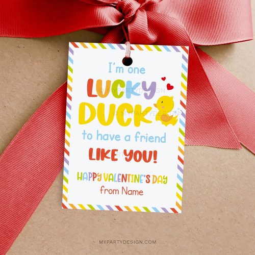rubber duck Valentines Tags / Cards
