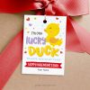 lucky ducks valentines tags for class gifts