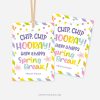 rainbow coloured spring break gift tags for chocolate chip cookies that read "chip chip hooray! Have a happy spring break!"
