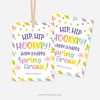 rainbow coloured spring break gift tags that read "hip hip hooray! Have a happy spring break!"