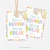 Have a Hoppin' Spring Break tags for Spring Break gifts