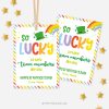 ST-PATRICKS-DAY-TAGS-APPRECIATION-TEAM-MEMBER-00A team member st patrick's day tags for appreciation gift
