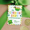 ST-PATRICKS-DAY-TAGS-CEREAL-LUCKY-CLASS-00A cereal class st Patricks day tags