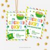 ST-PATRICKS-DAY-TAGS-CEREAL-LUCKY-CLASS-00B cereal sly lucky to have you in my class st Patricks day tags