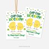 st patricks day gift tags for chips that read "chip chip hooray, have a happy st patrick's day"