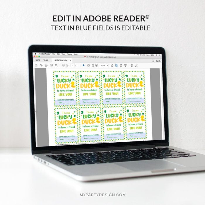 editable rubber duck st patrick's day tags / cards for kids