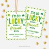 lucky friend st patrick's day tags / cards for kids