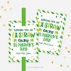 st patrick's day straw tag for school non-candy class gifts