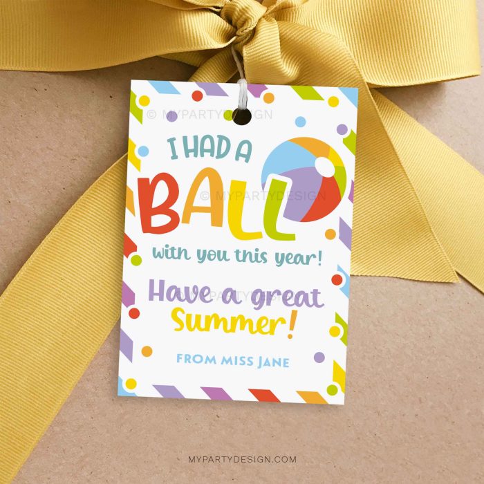 had a ball with you this year gift tag for summer class gifts