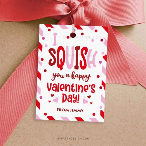 I squish you a happy valentine's day gift tag for class valentines gifts