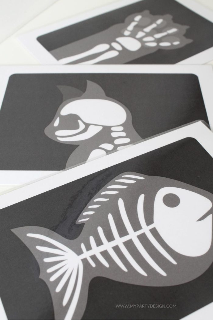 animal x-rays for vet dramatic play scene
